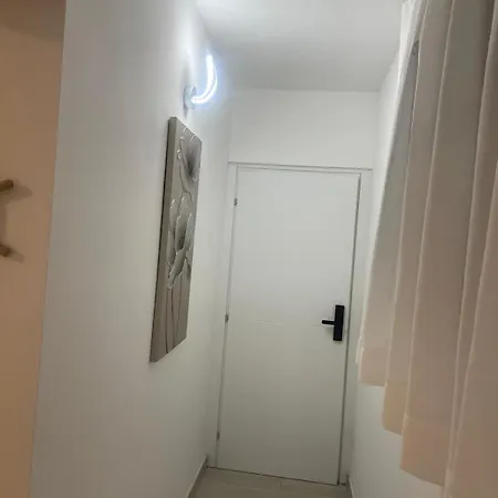 Camelia's House * 올비아