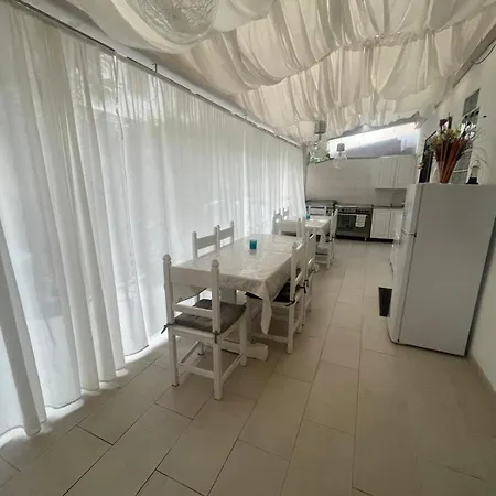 Camelia's House 올비아