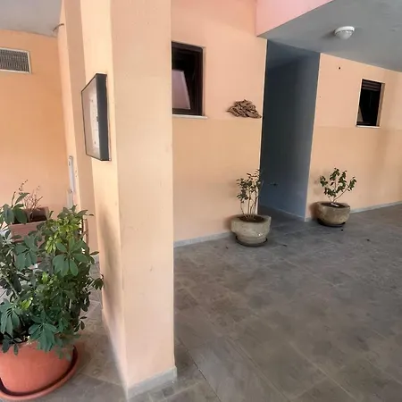 홈스테이 Camelia's House *