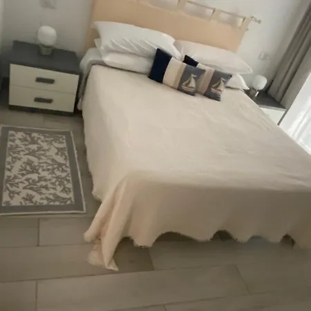 Camelia's House * 올비아